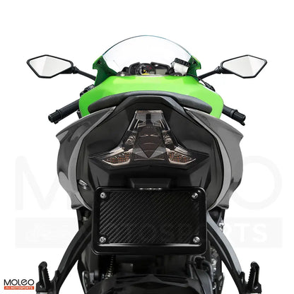 All-in-One integrated taillight, eliminating the need for the original bike's turn signals.