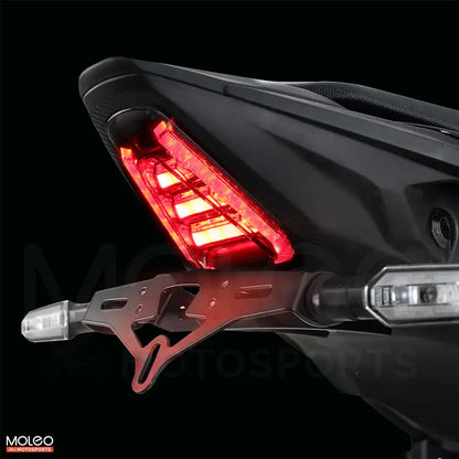 CB500 Hornet CBR500R CB500F NX500 Integrated Tail Light with Brake Light
