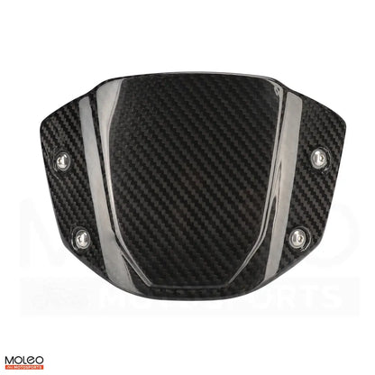 Carbon Fiber Screen for Honda CB650R
