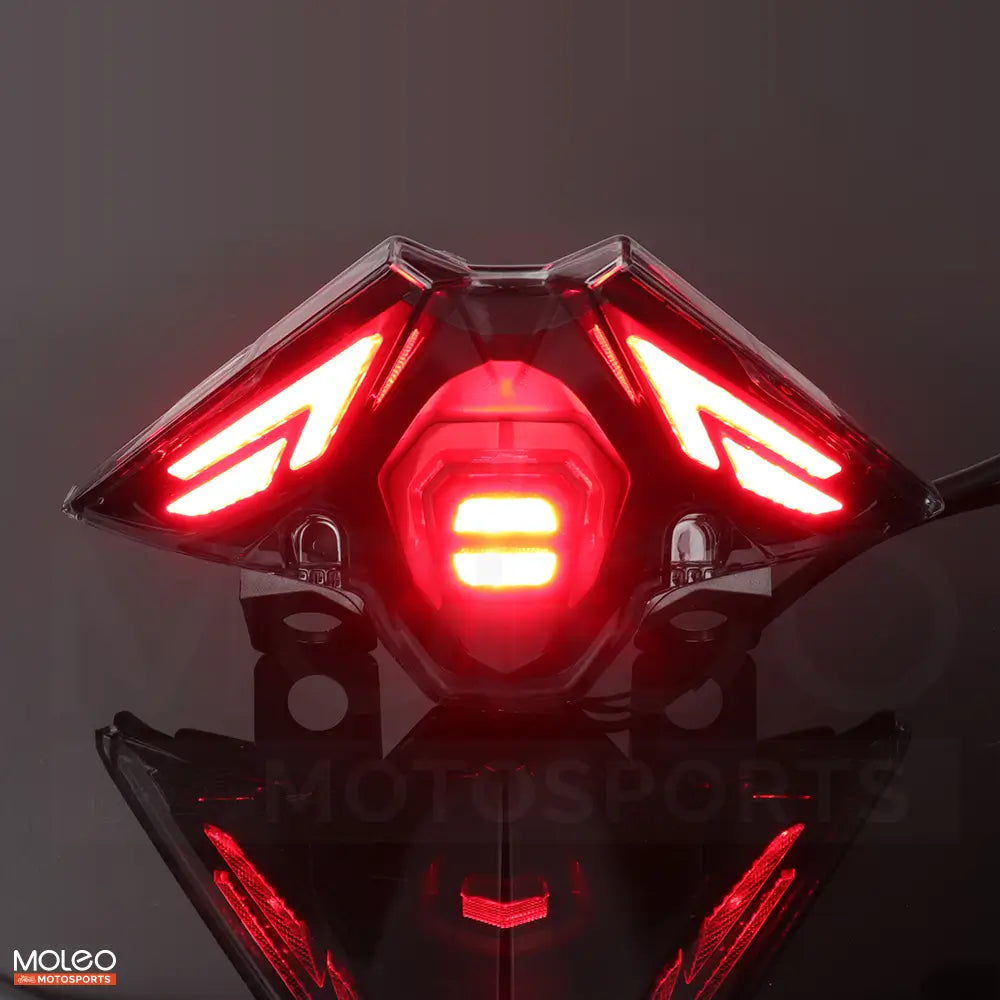 High-Power LEDs Brake Light Output for 2024 2025 Kawasaki Ninja 500 Integrated Tail Light