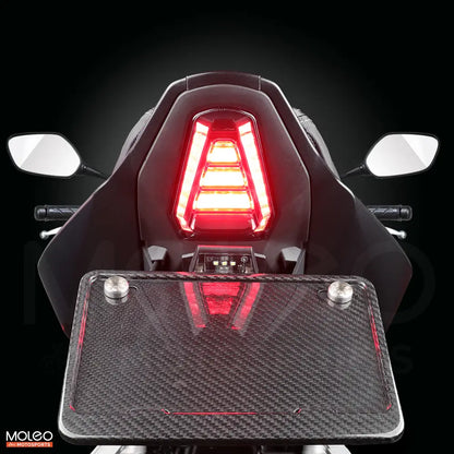 High Quality LED Integrated Tail Light for Honda CB650R