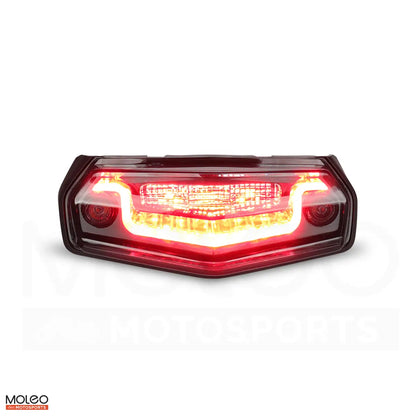 High power LEDs brake light enhances driving safety for Yamaha WR125R at night