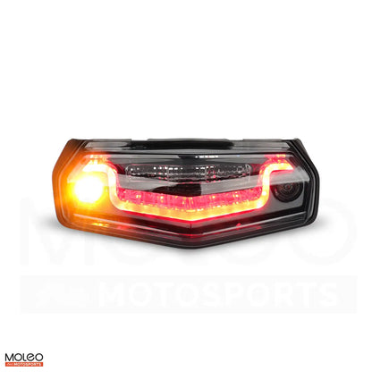 Integrated Tail Light for WR125R with Indicator
