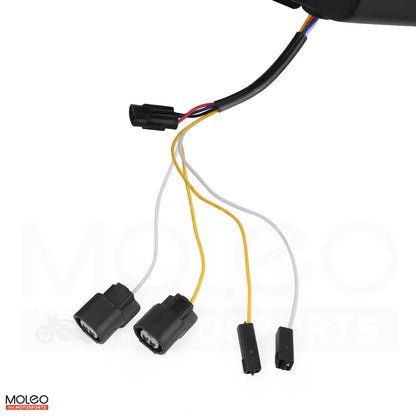 Integrated Taillight for Kawasaki 4R 6R with Two Type Plug