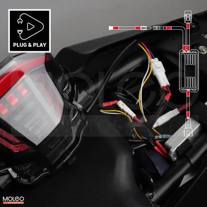 Integrated Taillight with Brake Light Modulator for MT07