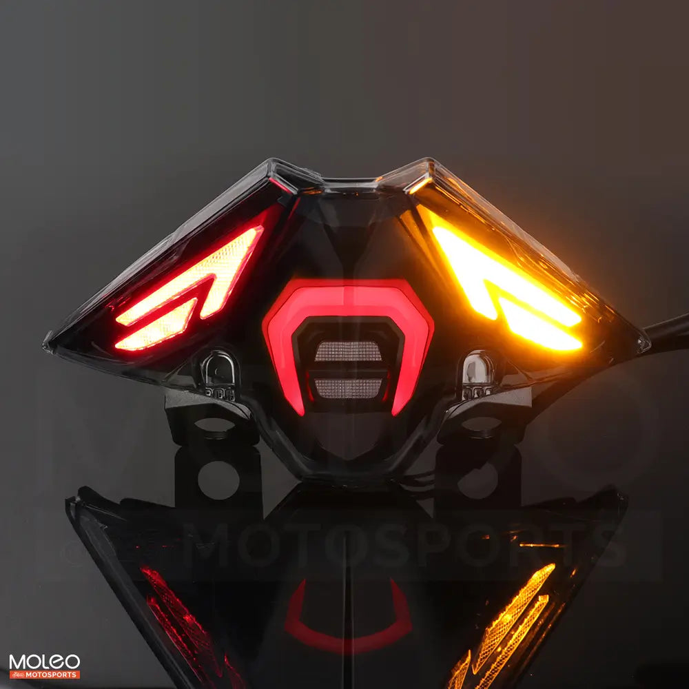 Integrated taillight with built in turn signals perfectly eliminates the need for external devices on 2025 
ninja 500