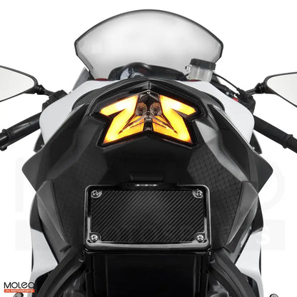 KAWASAKI ZX6R 2013-2018 integrated tail light with hazard light that includes synchronized side blinks
