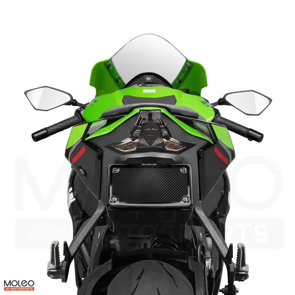 Kawasaki Ninja ZX-10R / ZX-10RR with our integrated tail light, sleek design meets functional upgrade for its rear.