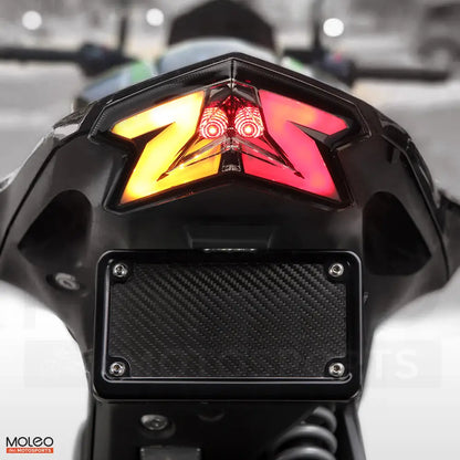 LEDs pulse amber and red under hard braking, creating a rear-end presence as menacing as the Z800's performance