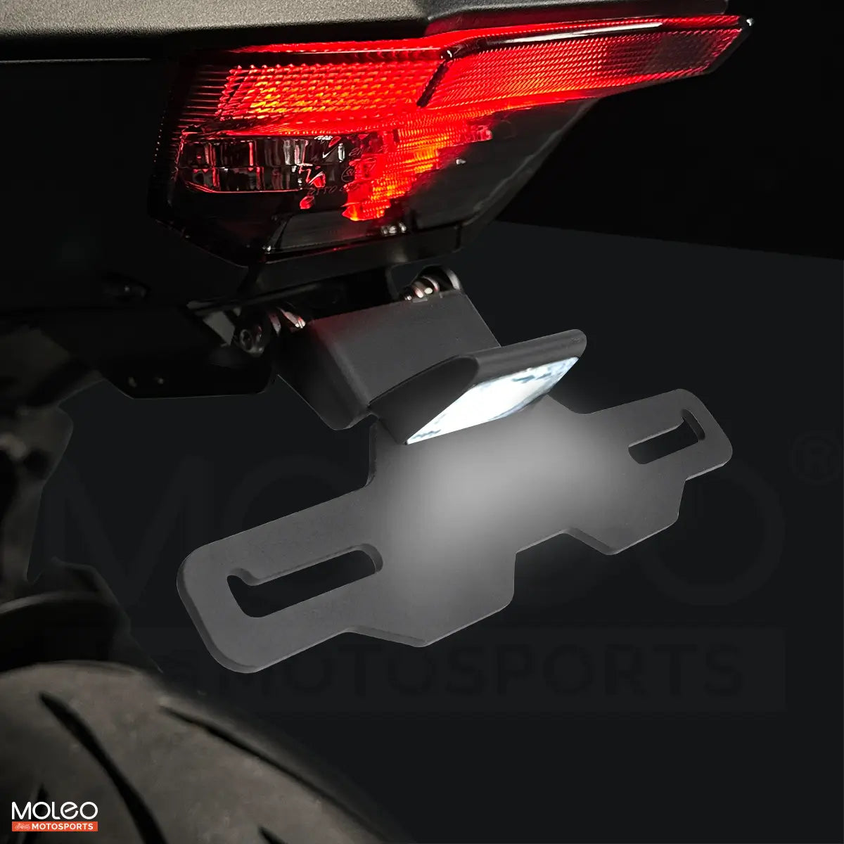 MOLEO Fender Eliminator Kit Yamaha MT-09 2024-2026