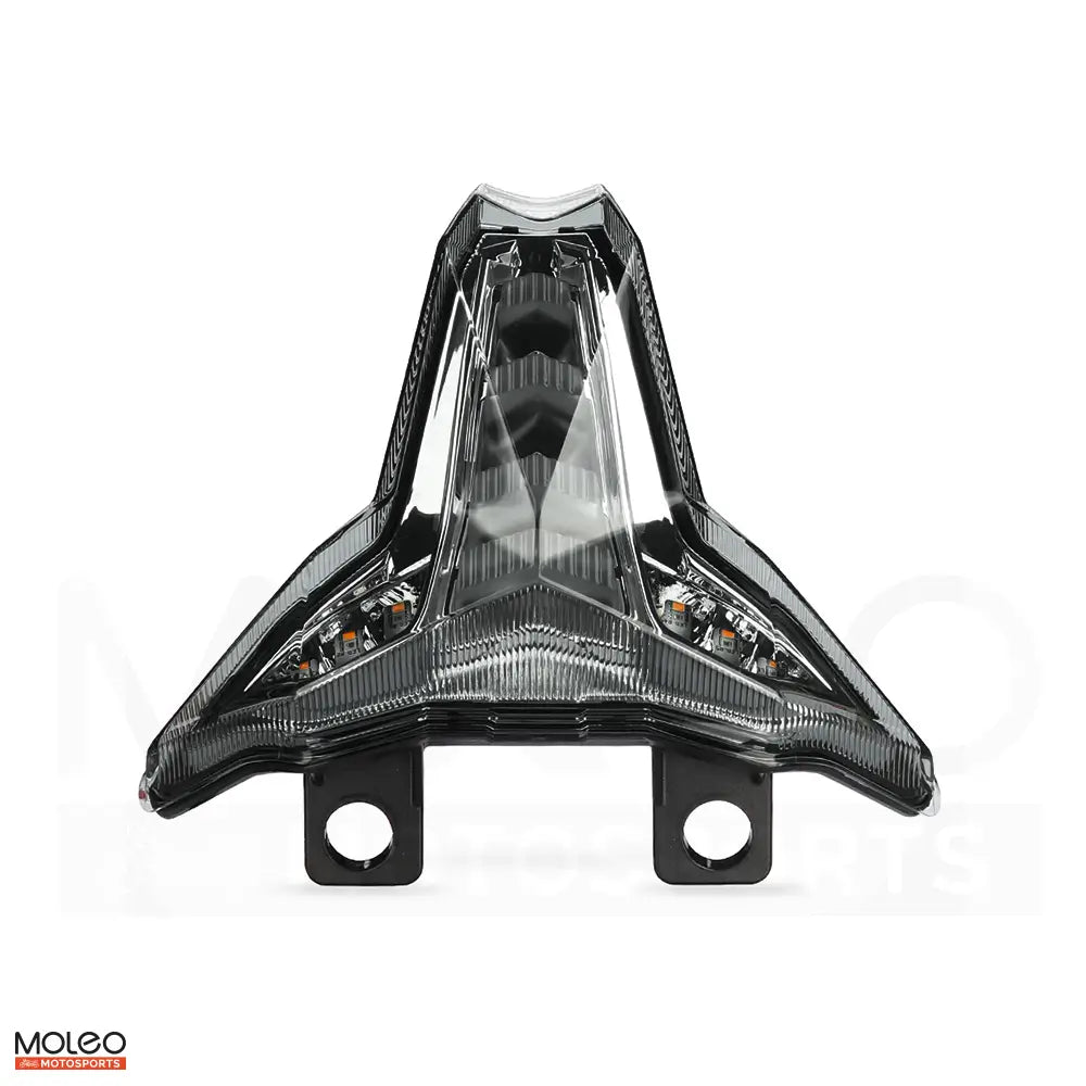 MOLEO Light Smoked LENs Integrated Tail Light for Kawasaki Ninja 4R 6RR