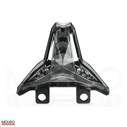 MOLEO Light Smoked LENs Integrated Tail Light for Kawasaki Ninja 4R 6RR