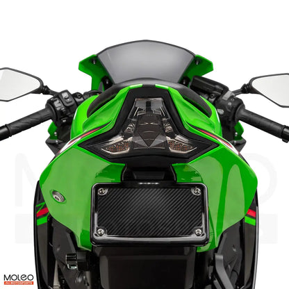 MOLEO Motosports Smoked LED Integrated Tail Light For The Kawasaki Ninja ZX4RR / ZX-4R.