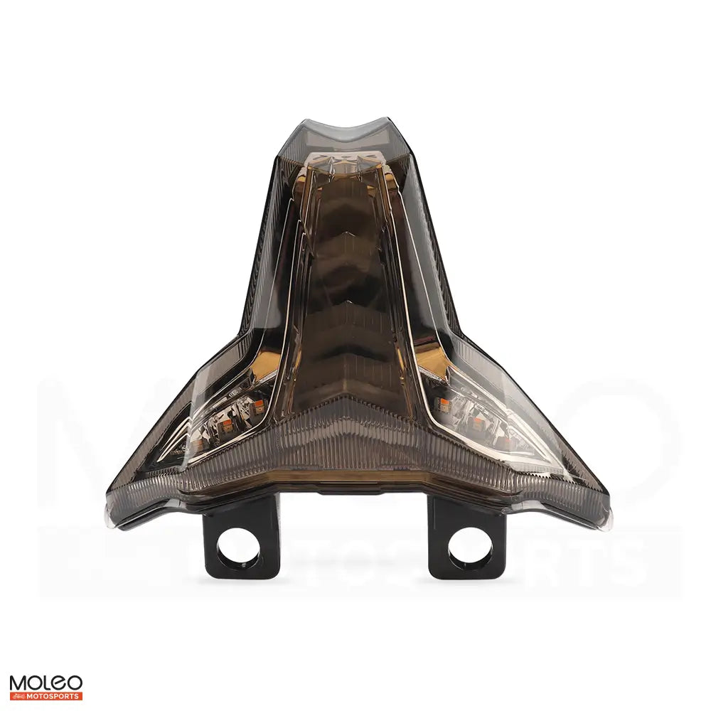 Integrated LED Tail Light | Kawasaki Ninja ZX-25R