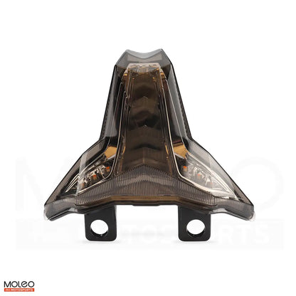 MOLEO_Smoked_LENs_Integrated_Tail_Light_for_Kawasaki_Ninja_400_4R_6R