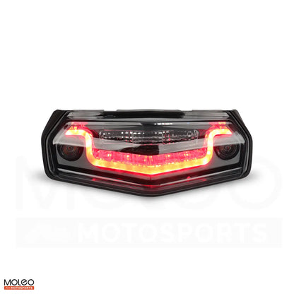 Optical Light Guiding Components Ensures More Uniform Illumination of Yamaha WR125R Rear Position Light
