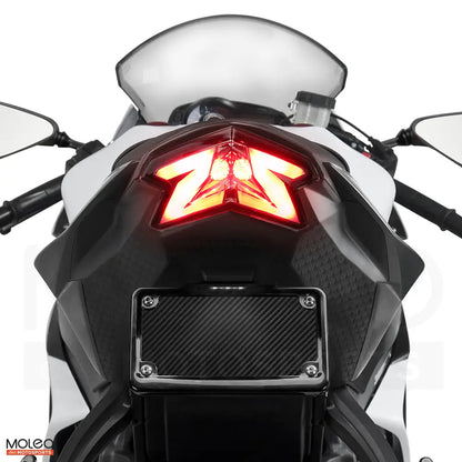 Razor-thin LEDs slice through darkness with a piercing red glow, matching the ZX-6R’s track-focused aggression