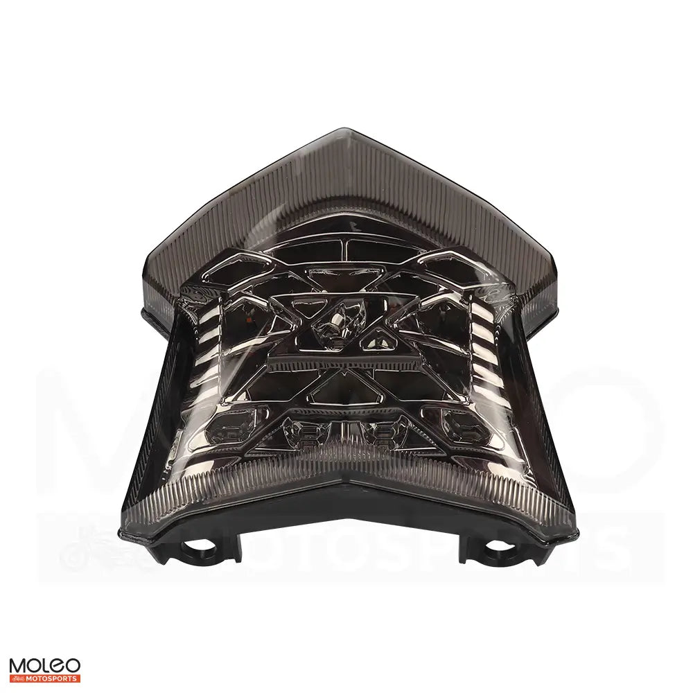 Smoked Integrated LED Tail Light for Kawasaki Ninja 650
