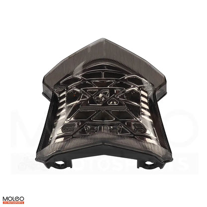 Smoked Integrated LED Tail Light for Kawasaki Ninja 650