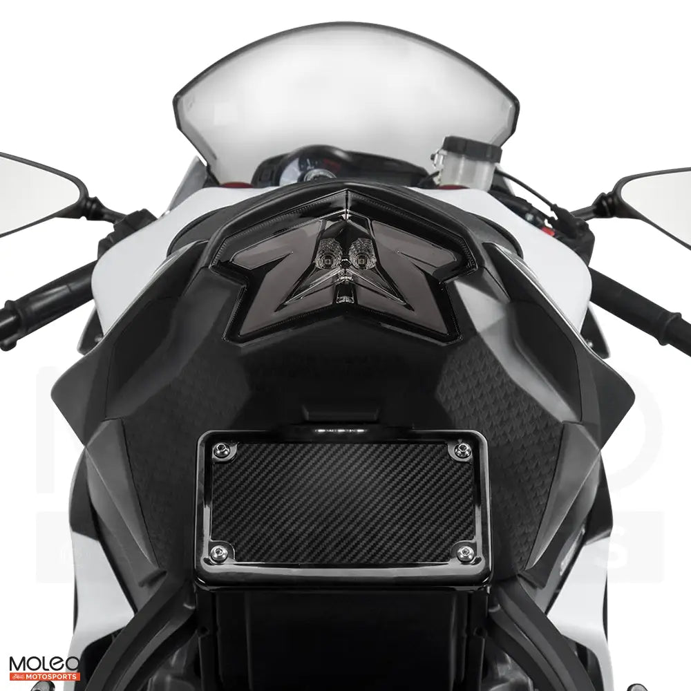 MOLEO LED INTEGRATED TAIL LIGHT FOR 2013-2018 KAWASAKI Ninja ZX-6R
