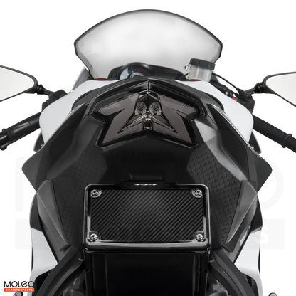 MOLEO LED INTEGRATED TAIL LIGHT FOR 2013-2018 KAWASAKI Ninja ZX-6R