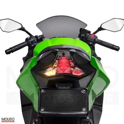 With turn and running lights on, Kawasaki Ninja 400 / Z400 integrated tail light offering clear direction.