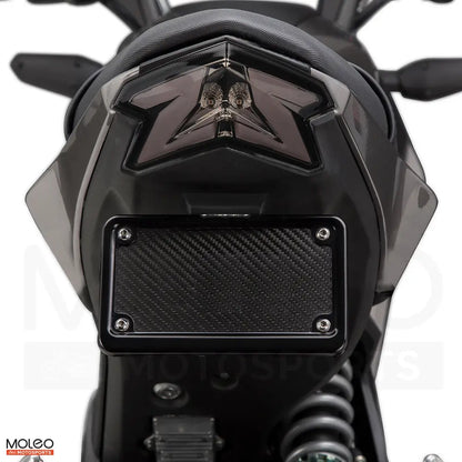 MOLEO Motosports LED Integrated Tail Light for 2017+ Kawasaki Z125 Pro